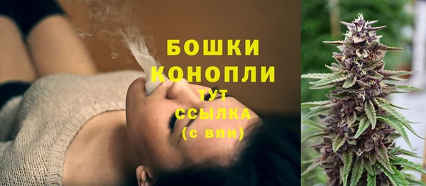 сатива Гусь-Хрустальный