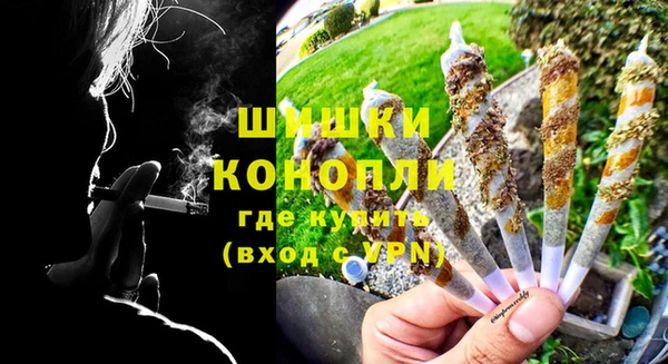 сатива Гусь-Хрустальный