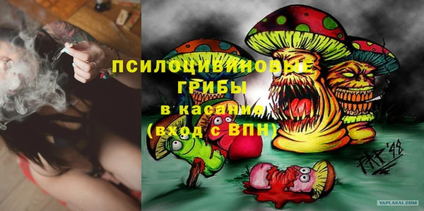 сатива Гусь-Хрустальный